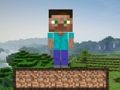 Leikur Minecraft Survival  á netinu