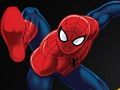 Leikur Spiderman gegn Naruto  á netinu