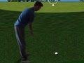 Leikur Flash Golf 3d  á netinu