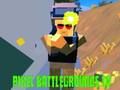 Leikur Pixel Battlegrounds. IO  á netinu