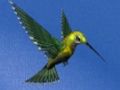 Leikur Hummingbird hús flýja á netinu