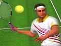 Leikur Tennismeistarar 2020  á netinu