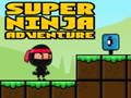 Leikur Ofurævintýri Ninja  á netinu