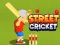 Leikur Street Cricket á netinu