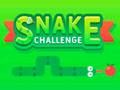 Leikur Snake Challenge á netinu
