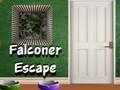 Leikur Falconer flýja á netinu
