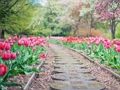 Leikur Pathway Jigsaw á netinu