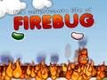 Leikur Firebug á netinu