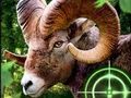 Leikur Crazy Geit Hunter 2020 á netinu