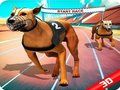 Leikur Crazy Dog Race á netinu