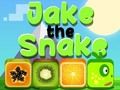 Leikur Jake The Snake á netinu