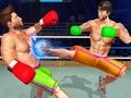 Leikur Bodybuilder Ring Fighting Club glíma  á netinu