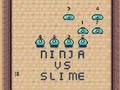 Leikur Ninja vs Slime á netinu