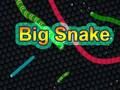 Leikur Stóri Snake  á netinu