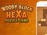 Leikur Woody Block Hexa Puzzle á netinu