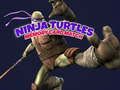 Leikur Ninja Turtles Minniskort Match  á netinu