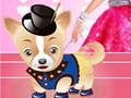 Leikur Hundaklæðnaður Barbie á netinu