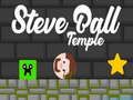 Leikur Steve Ball Temple á netinu