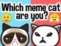 Leikur Hvaða Meme Cat ert þú?  á netinu