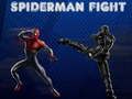 Leikur Spiderman bardagi  á netinu