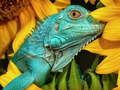 Leikur Ultimate Puzzles Animals 6 á netinu