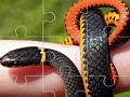 Leikur Snakes Puzzle  á netinu