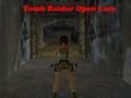 Leikur Tomb Raider Open Lara á netinu