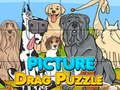 Leikur Mynd Drag Puzzle  á netinu