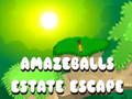 Leikur Amazeballs Estate Escape á netinu