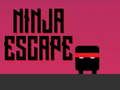 Leikur Ninja flýja  á netinu