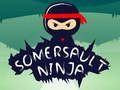 Leikur Somersault Ninja á netinu