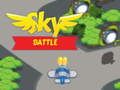 Leikur Sky Battle á netinu