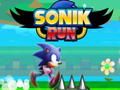 Leikur Sonik Run á netinu