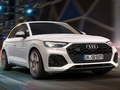Leikur Audi SQ5 TDI rennibraut á netinu