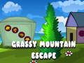 Leikur Grassy Mountain Escape á netinu
