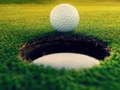 Leikur Golfmeistarar!  á netinu