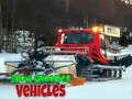 Leikur Snow Groomer farartæki  á netinu