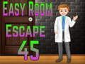 Leikur Amgel Easy Room Escape 45 á netinu