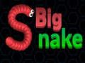 Leikur Stóri Snake  á netinu