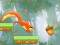 Leikur Nut Rush Sumarsprett á netinu