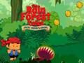 Leikur Rainforest sögur á netinu