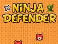 Leikur Ninja varnarmaður  á netinu