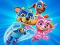 Leikur Litabók fyrir Paw Patrol  á netinu