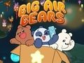 Leikur Big Air Bears á netinu