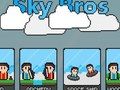 Leikur Sky Bros á netinu