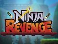 Leikur Ninja hefnd  á netinu