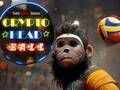 Leikur Crypto Head Ball á netinu