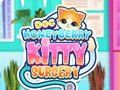 Leikur Doc Honeyberry Kitty skurðaðgerð á netinu