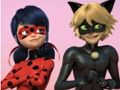 Leikur Kraftaverka Ladybug & Cat Noir Jigsaw Puzzle  á netinu