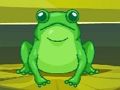 Leikur Frog Match Master á netinu